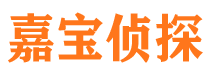 马边市侦探公司